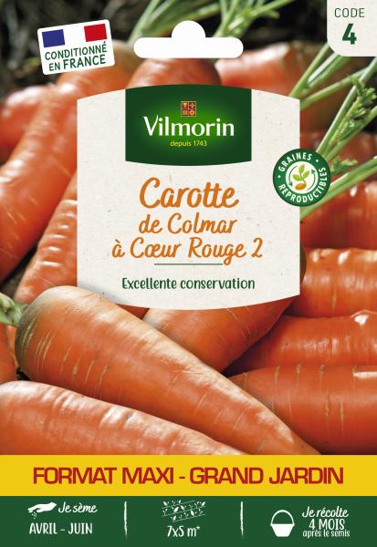 Potagères - Carotte de Colmar à Cœur Rouge 2 - Grand Modèle - face recto